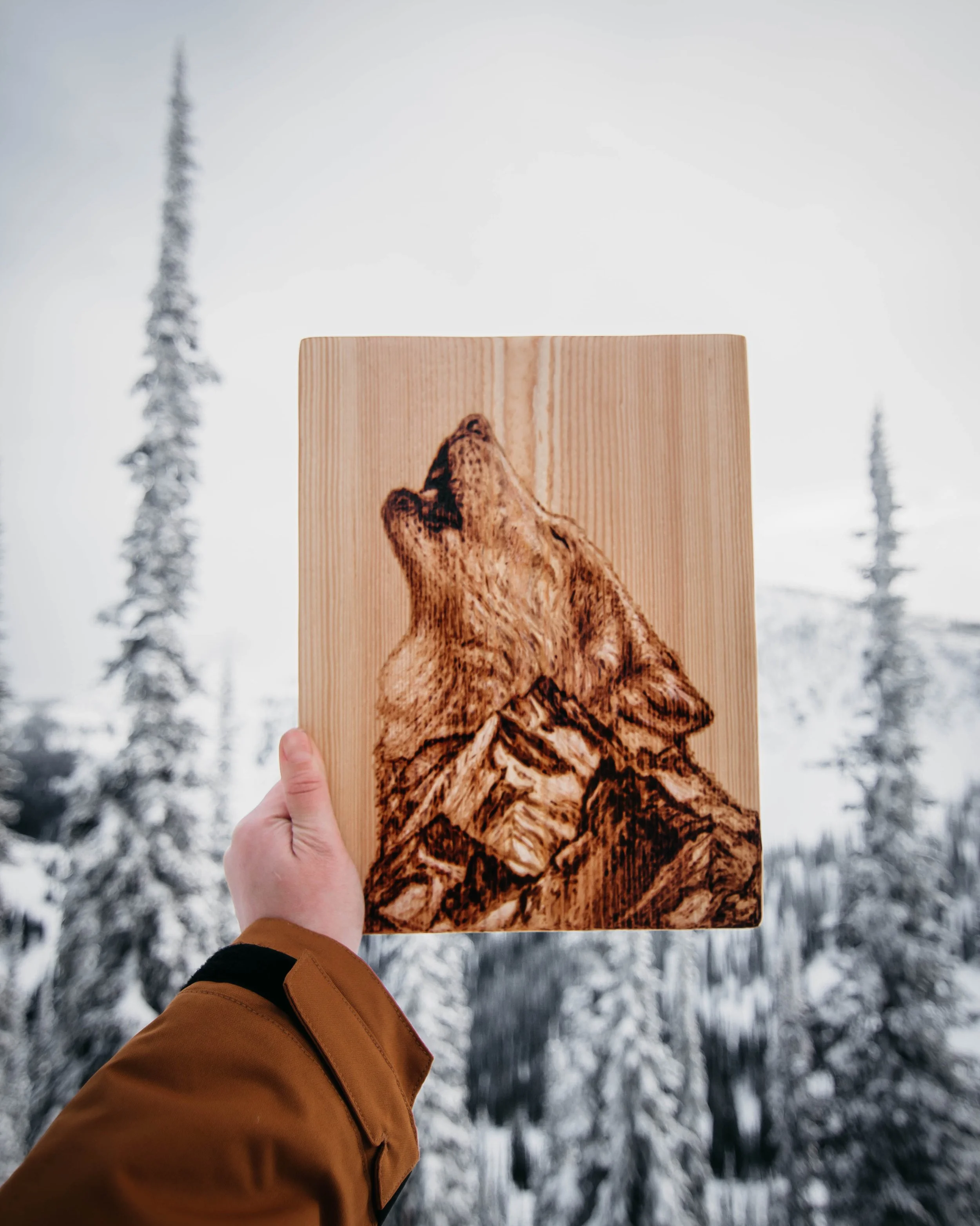 Wolf Mountains New.jpg