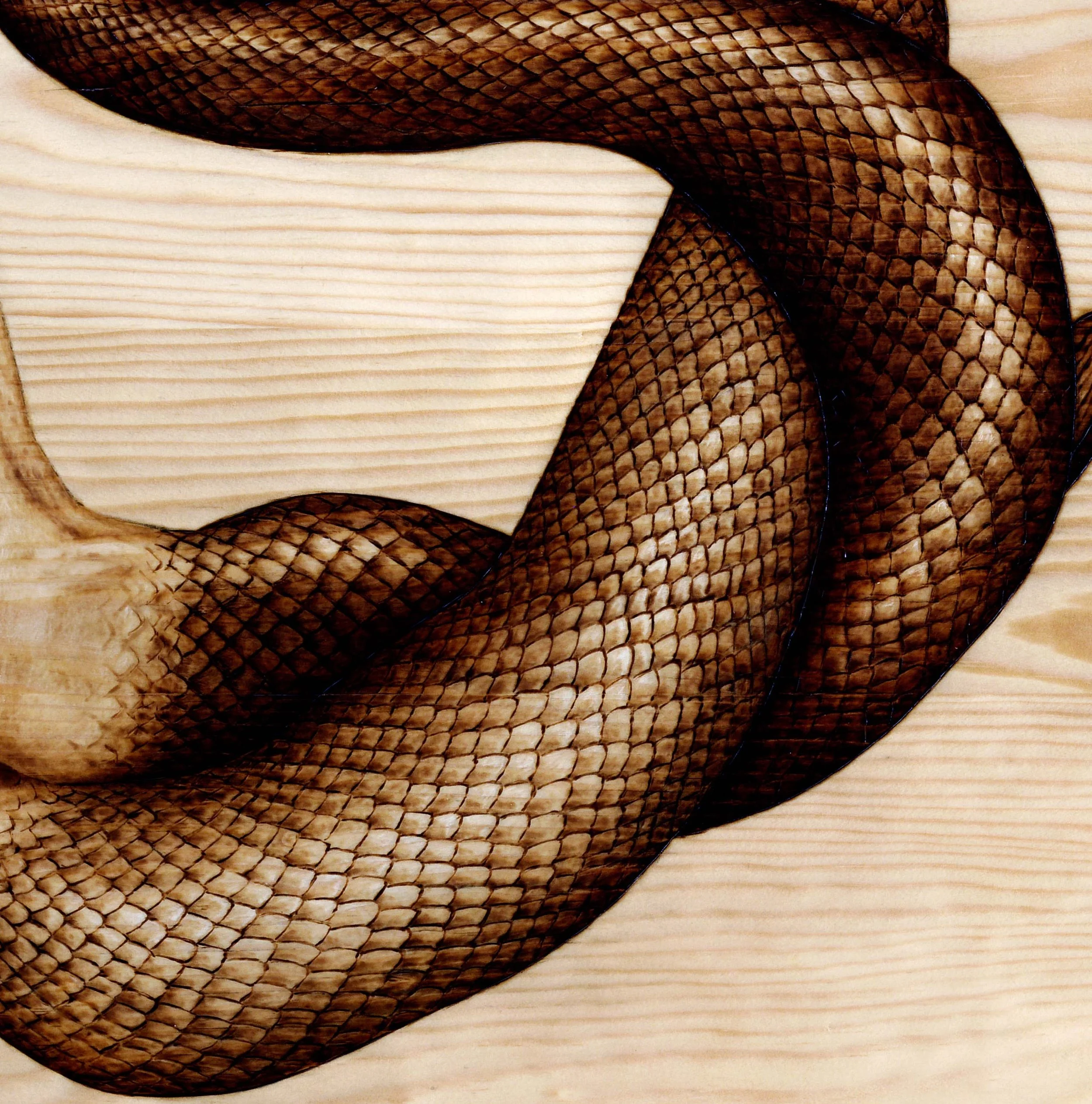 Mermaids Detail 3.jpg