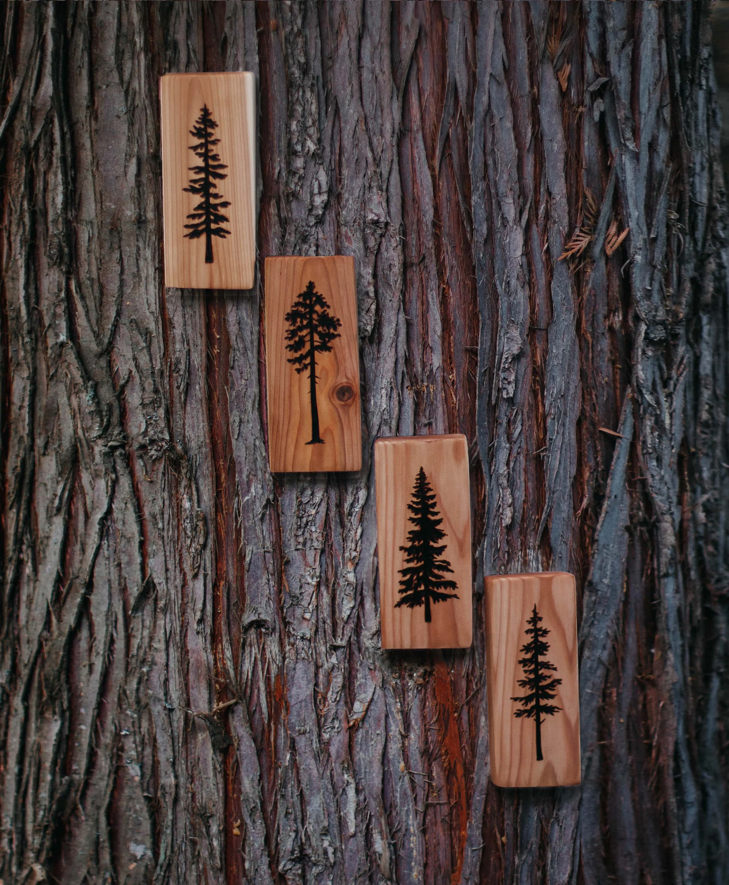New Cedar Tree Set.jpg