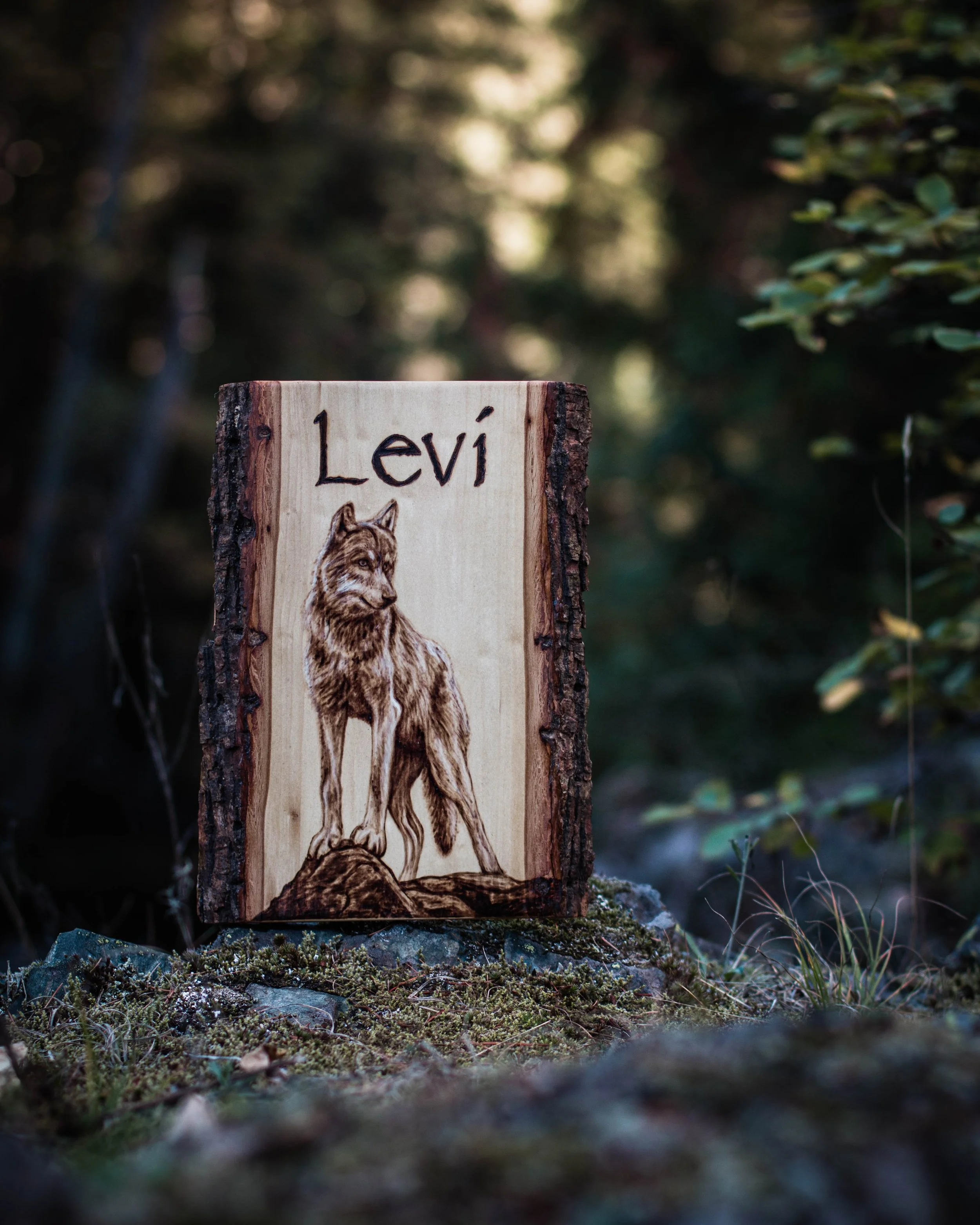 Levi Wolf_.jpg