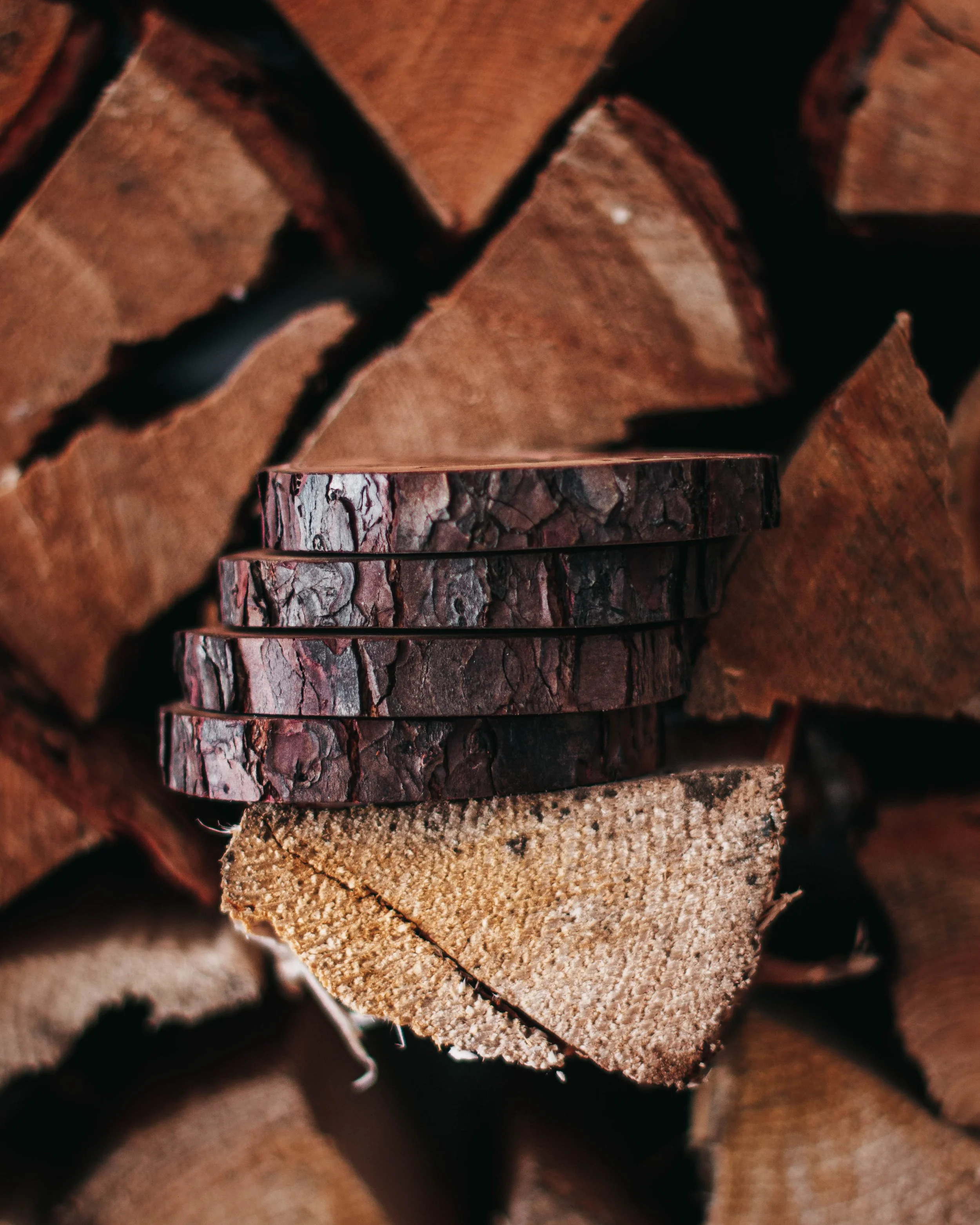 Leaf Coasters 2.jpg