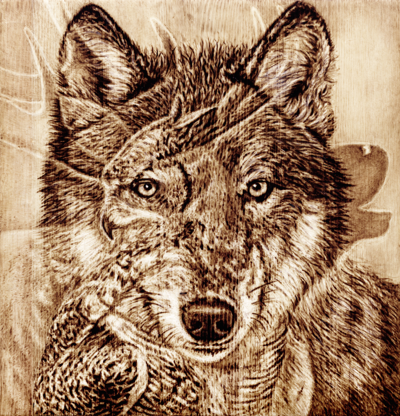 Owl Wolf Elk Small.png