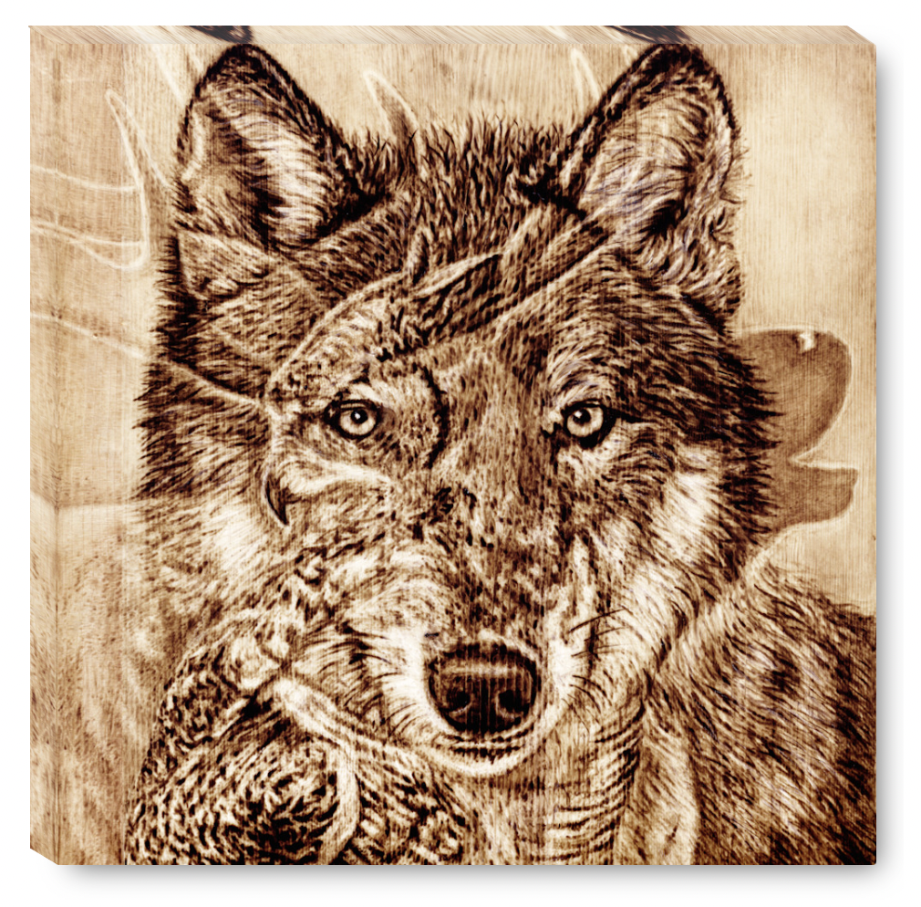 Gallery Wrap Owl Wolf Elk.png