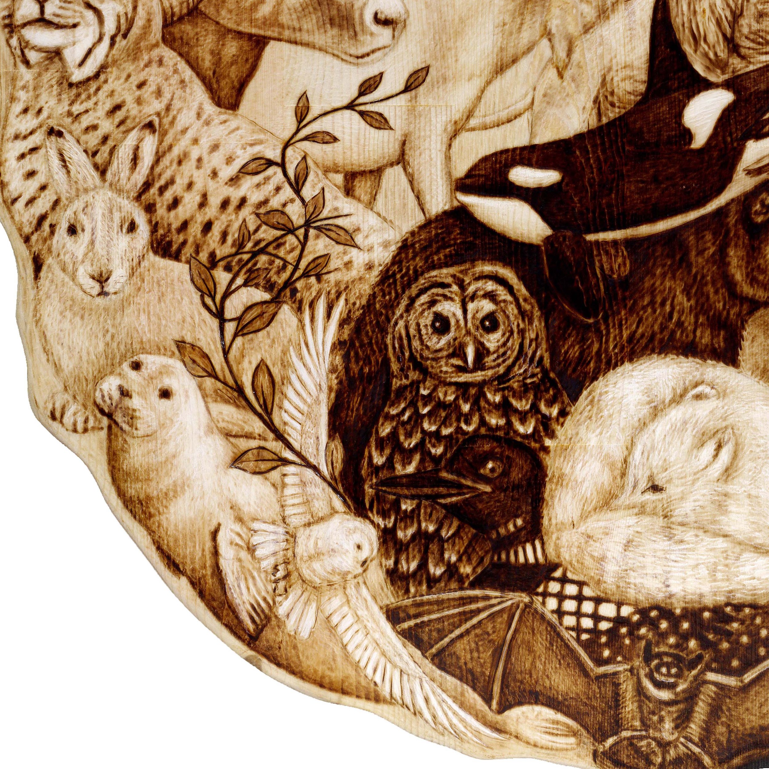 Yin Yang Detail 1.jpg