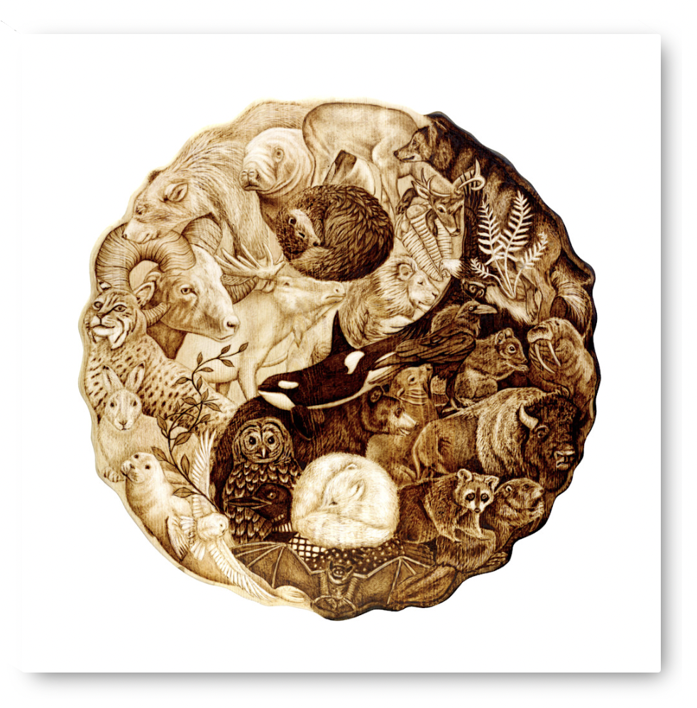 Gallery Wrap Yin Yang.png