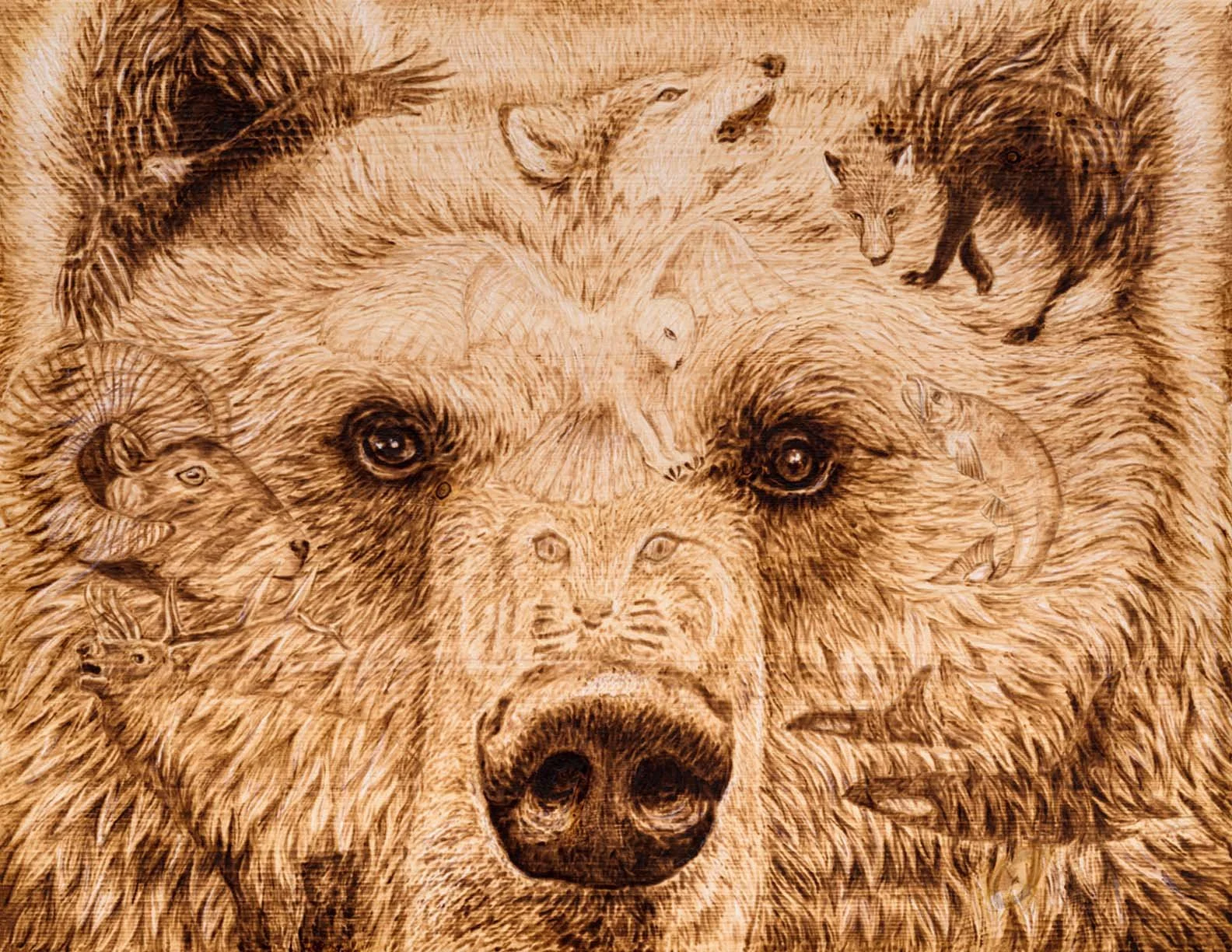 Print-Bear.jpg