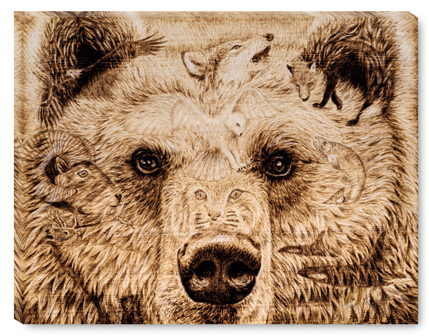 Bear Face Gallery Wrap.png