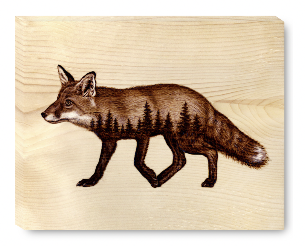 Gallery Wrap Fox.png