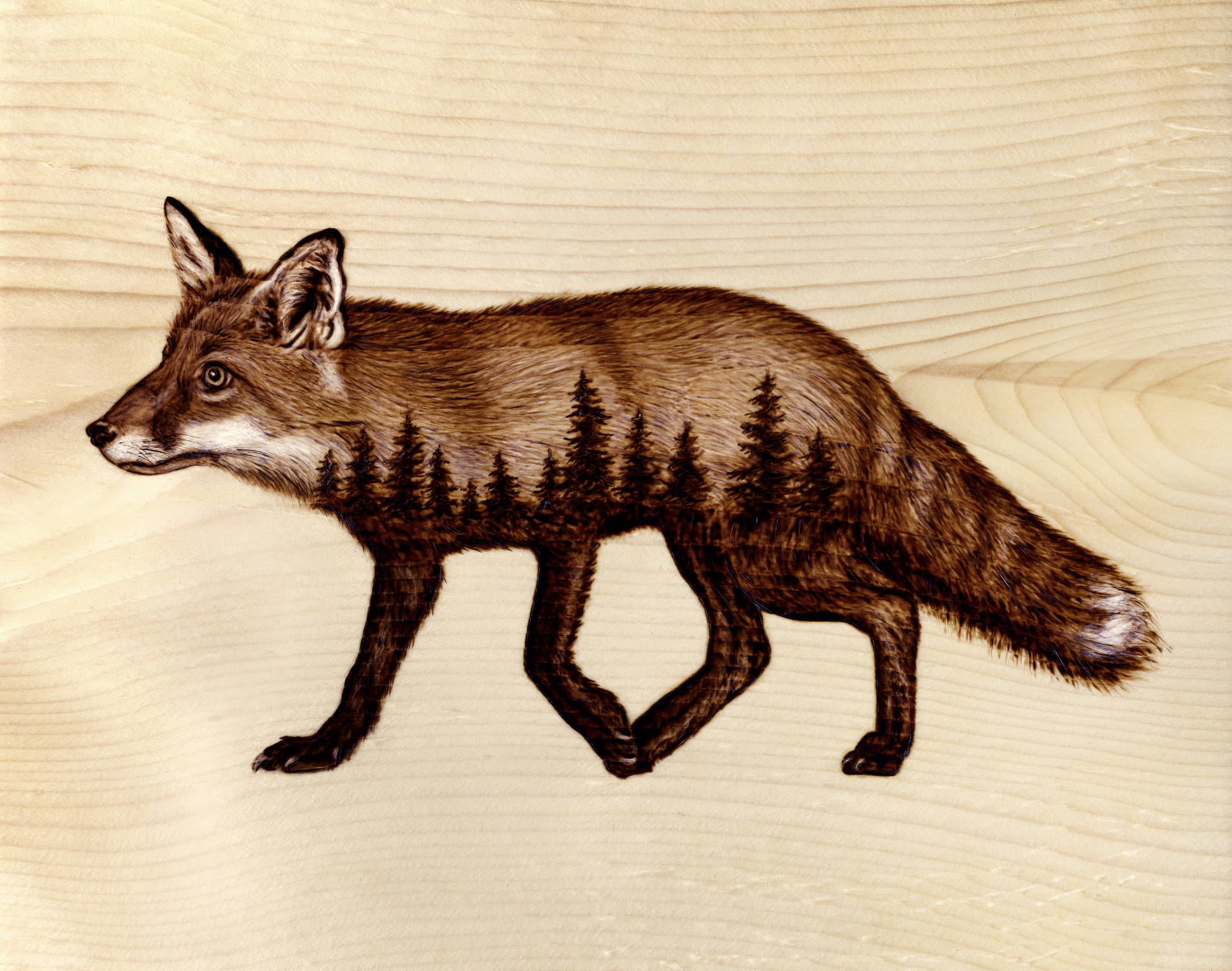 Fox Print Small.png