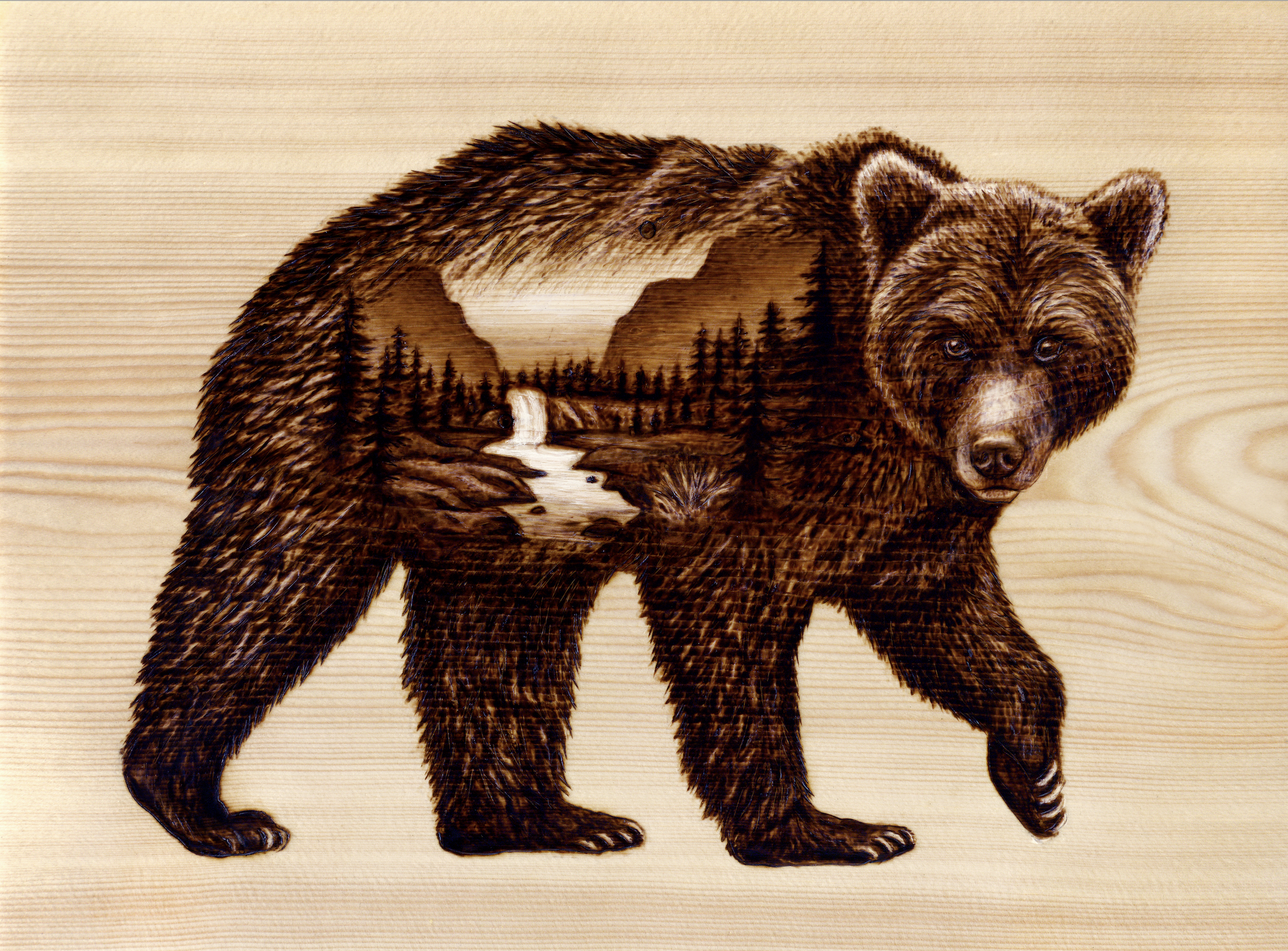 Bear Print (small).png