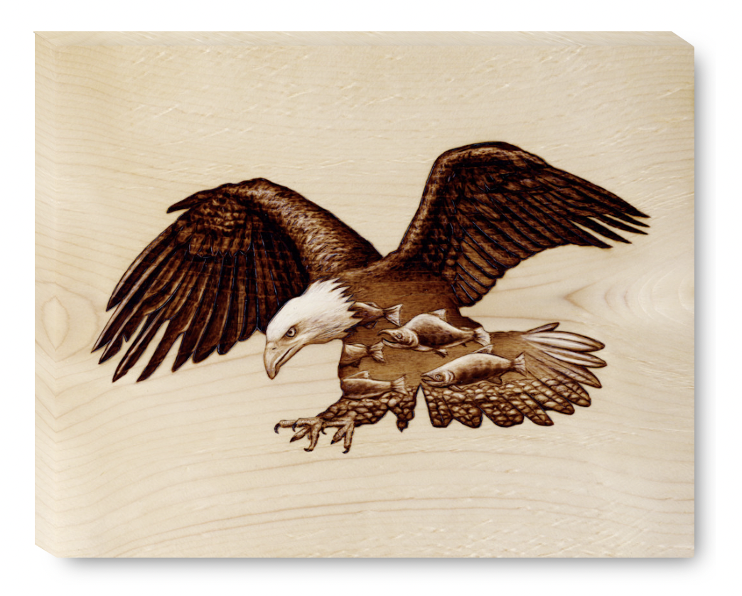 Gallery Wrap Eagle.png