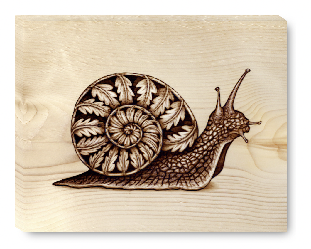 Gallery Wrap Snail.png