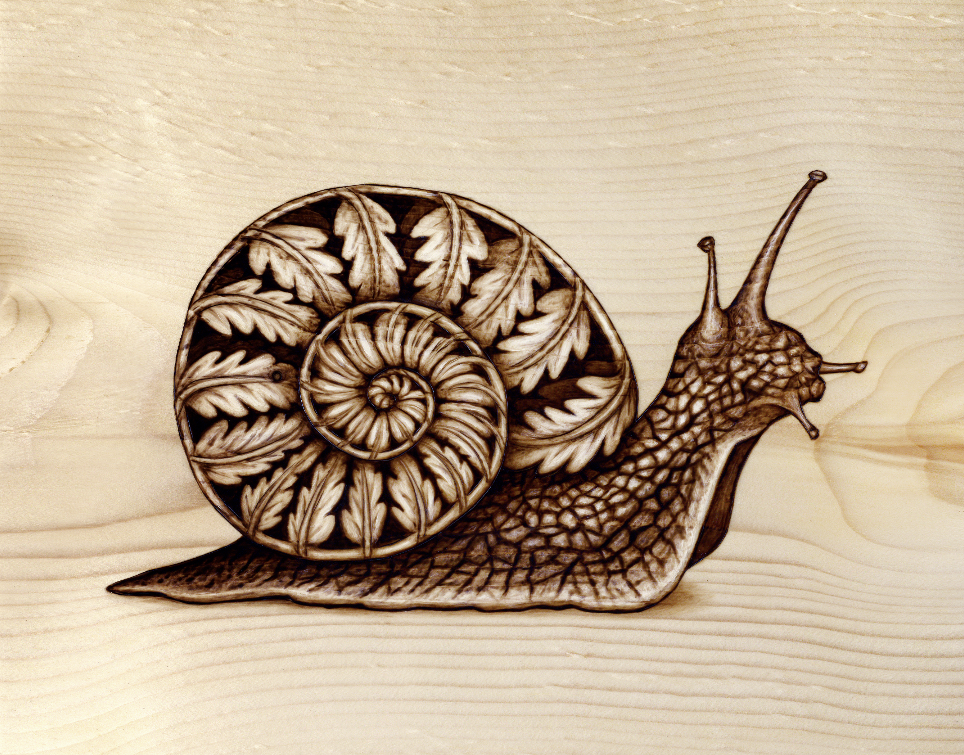 Snail Print Small.png