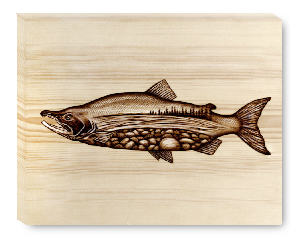 Gallery Wrap Sockeye.png