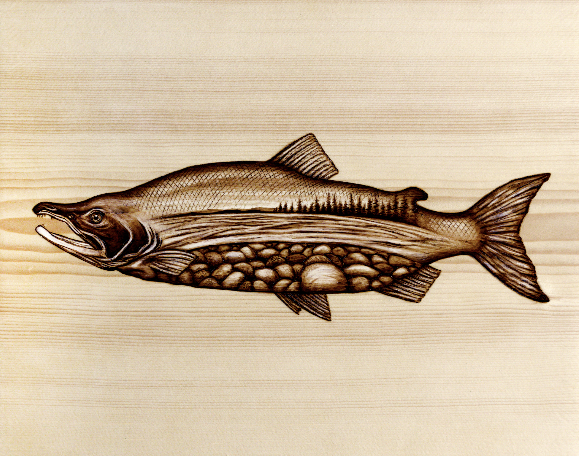 Salmon Print Small.png