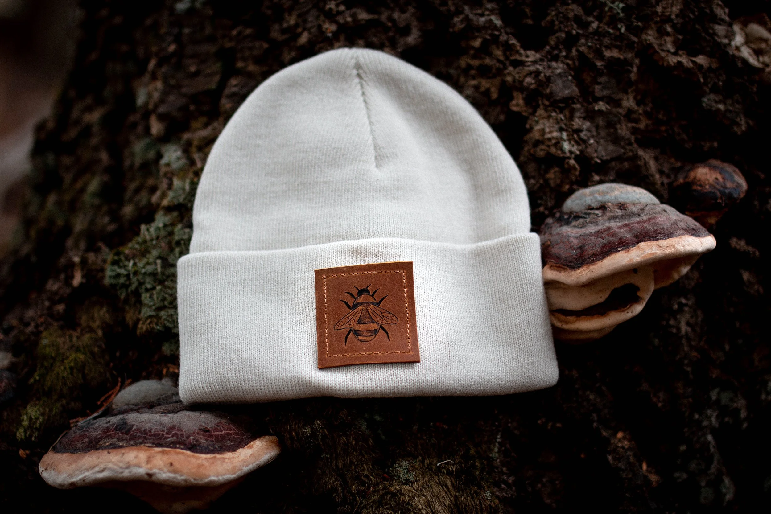 New Toque Shoot-5.jpg