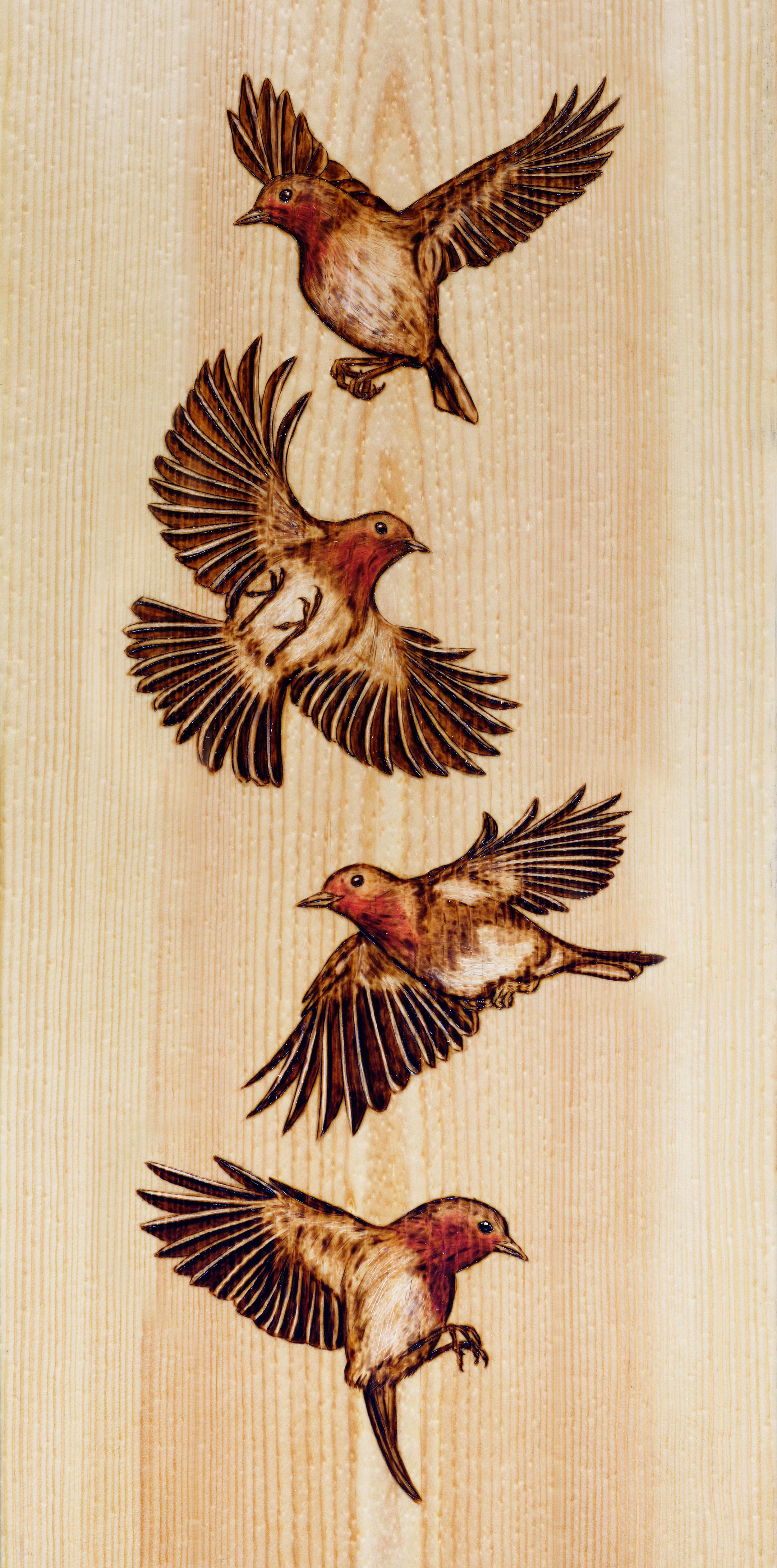 Wide Finished Robins Print.jpg