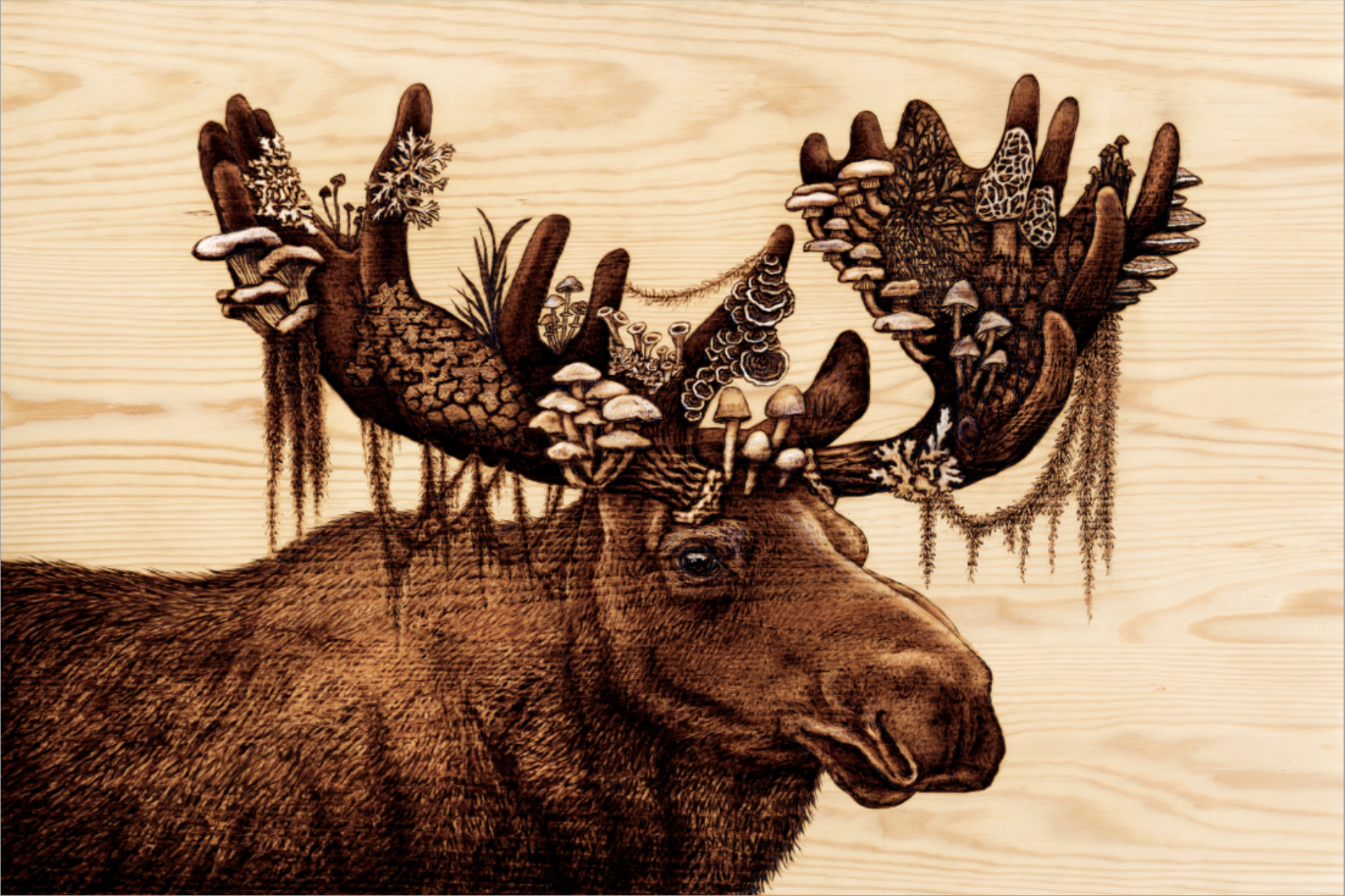 Moose Print Small.png