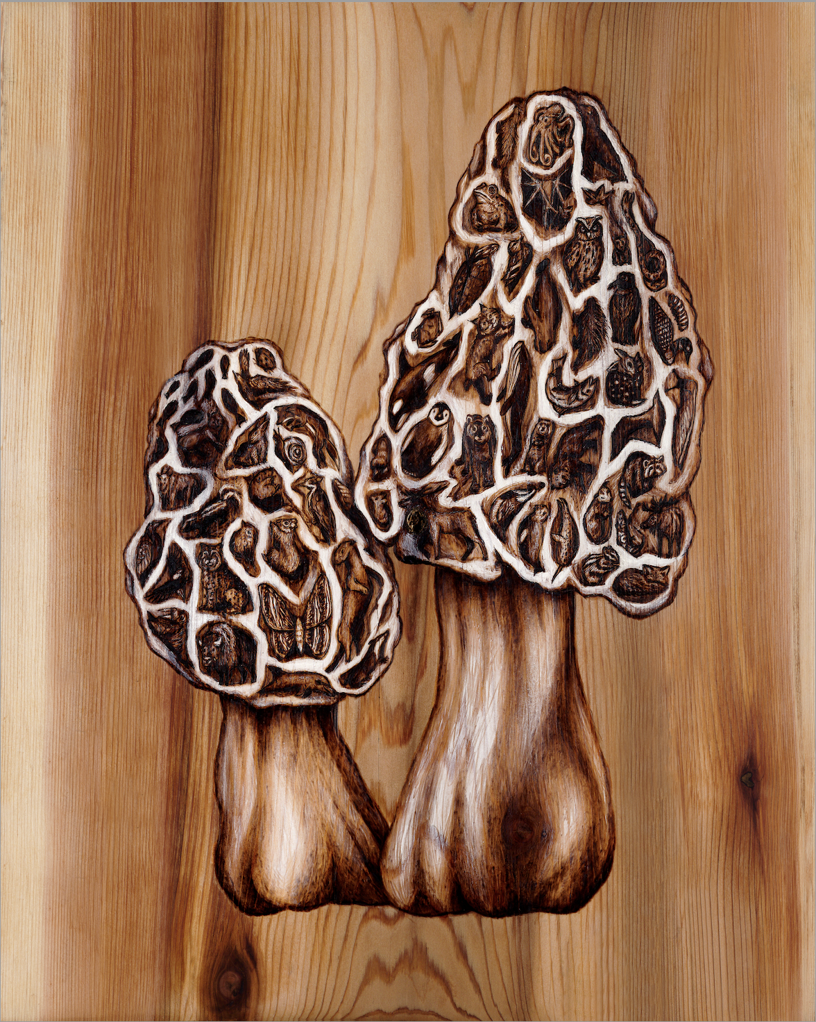 Mushrooms Print (small).png