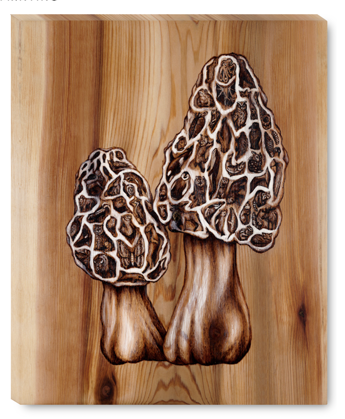 Gallery Wrap Morels.png