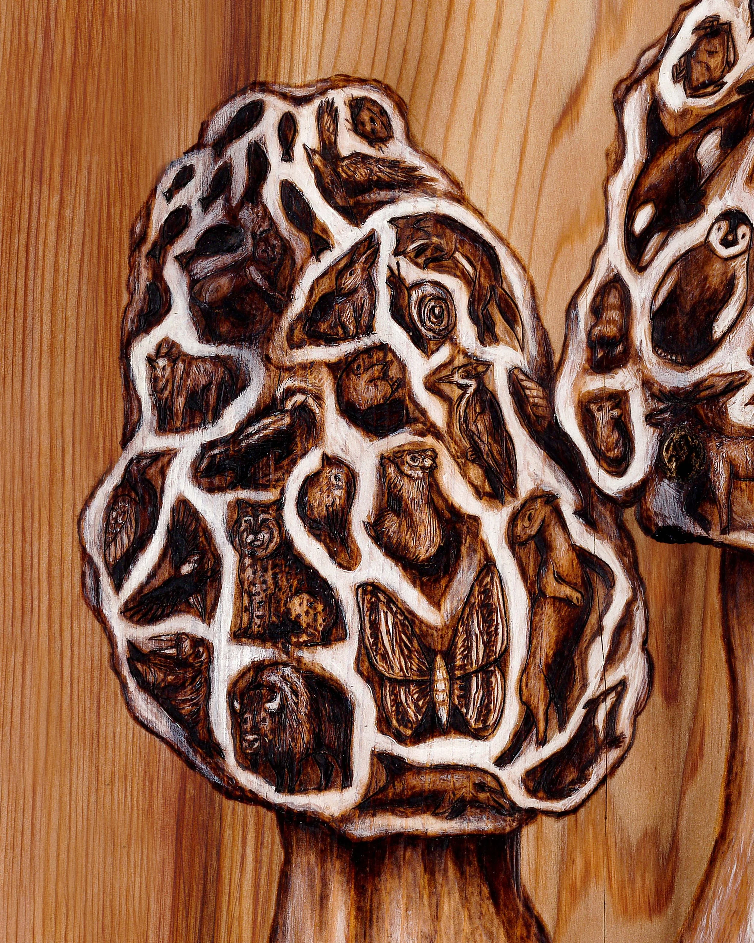 Mushrooms Details 1.jpg
