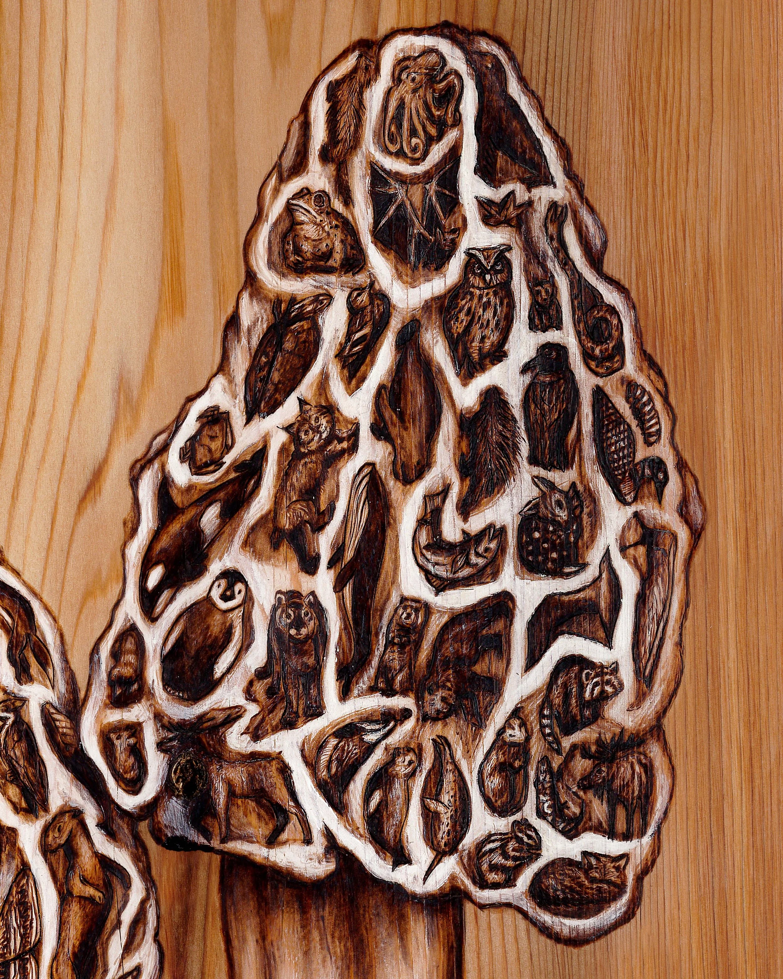Mushrooms Details 2.jpg