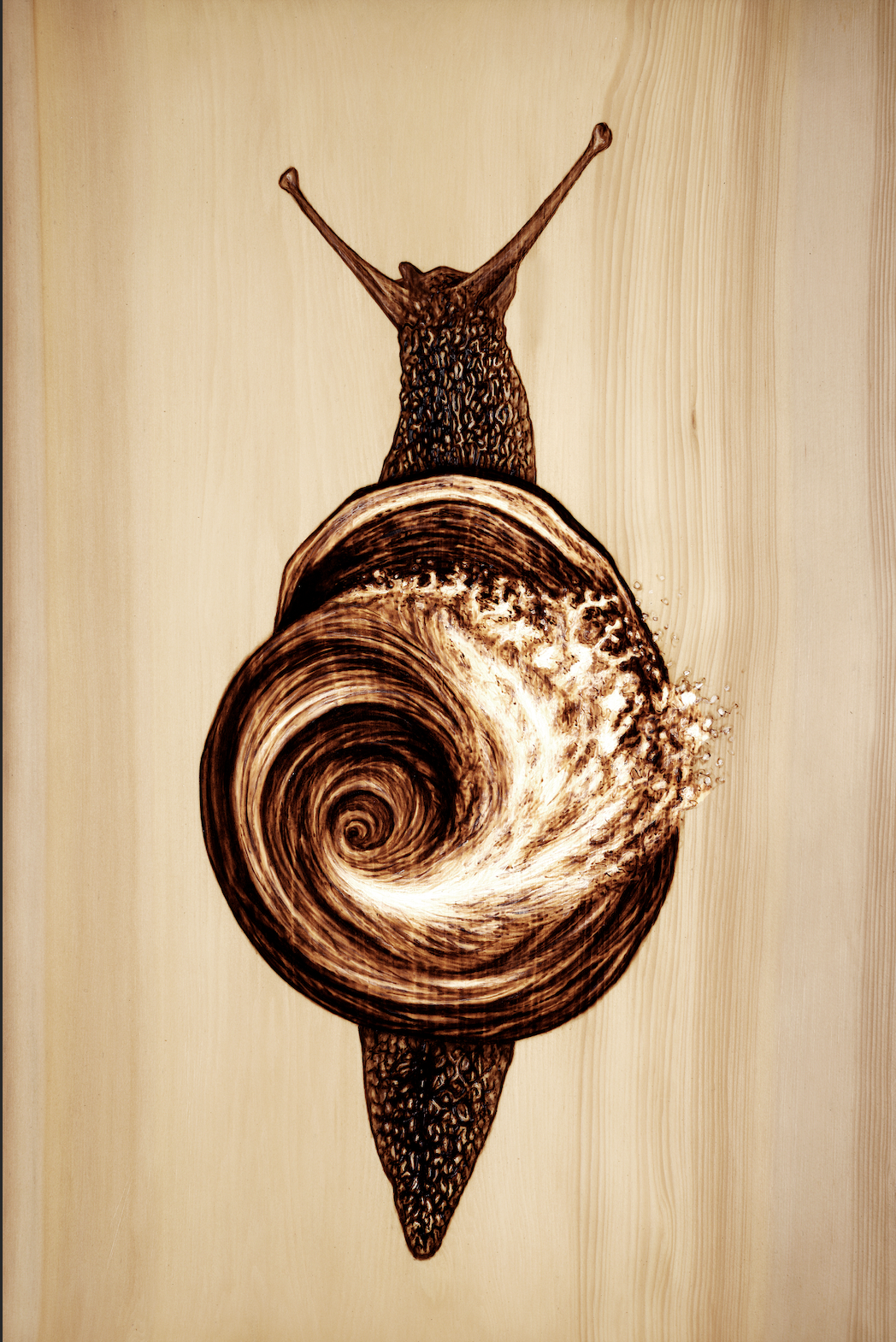 Snail Whirlpool Small.png