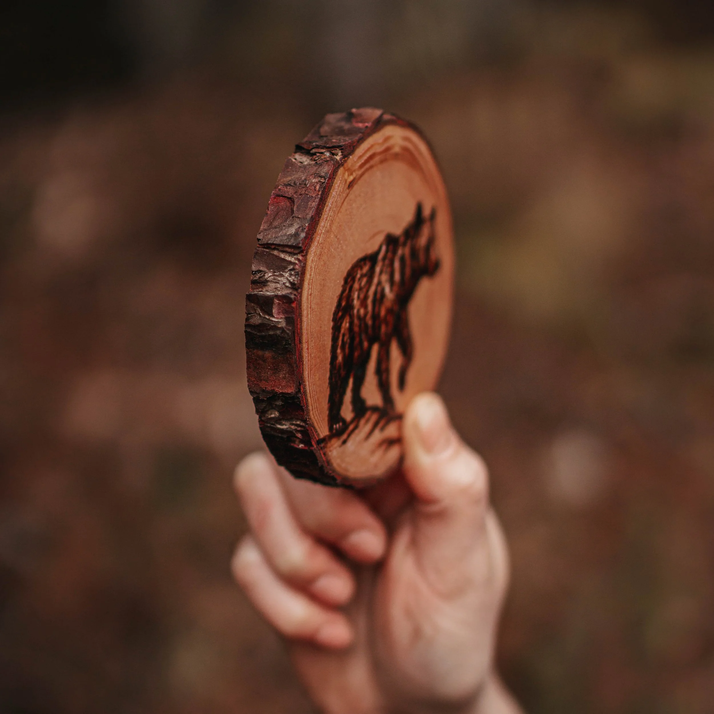 Bear Coaster-2.jpg