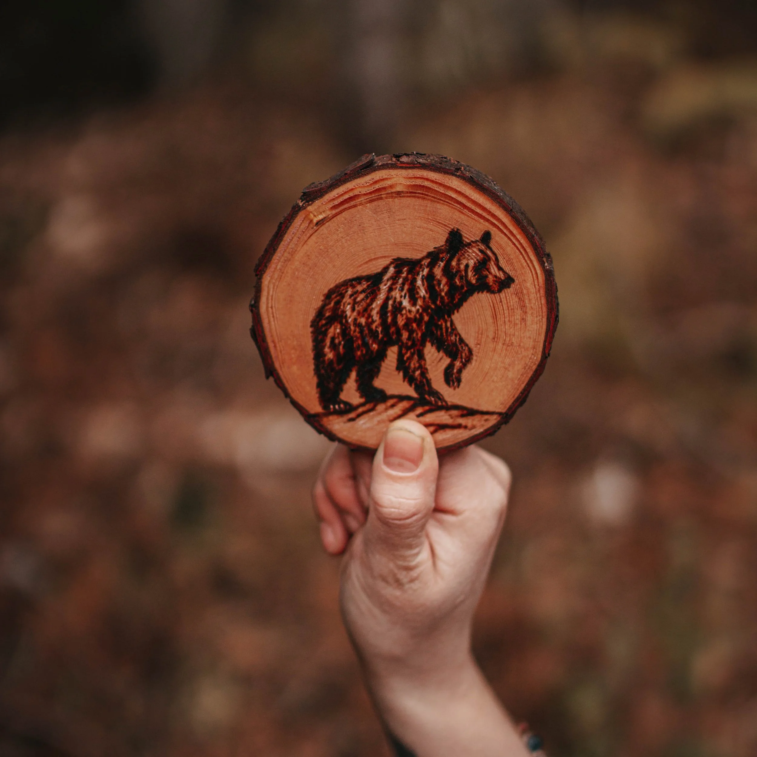 Bear Coaster.jpg
