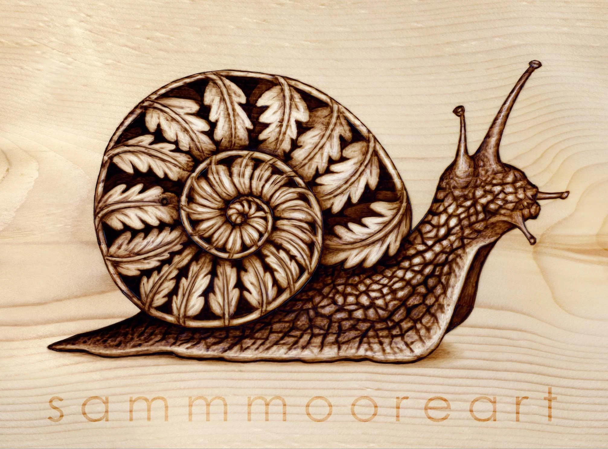 Snail Fiddlehead Sticker.jpg