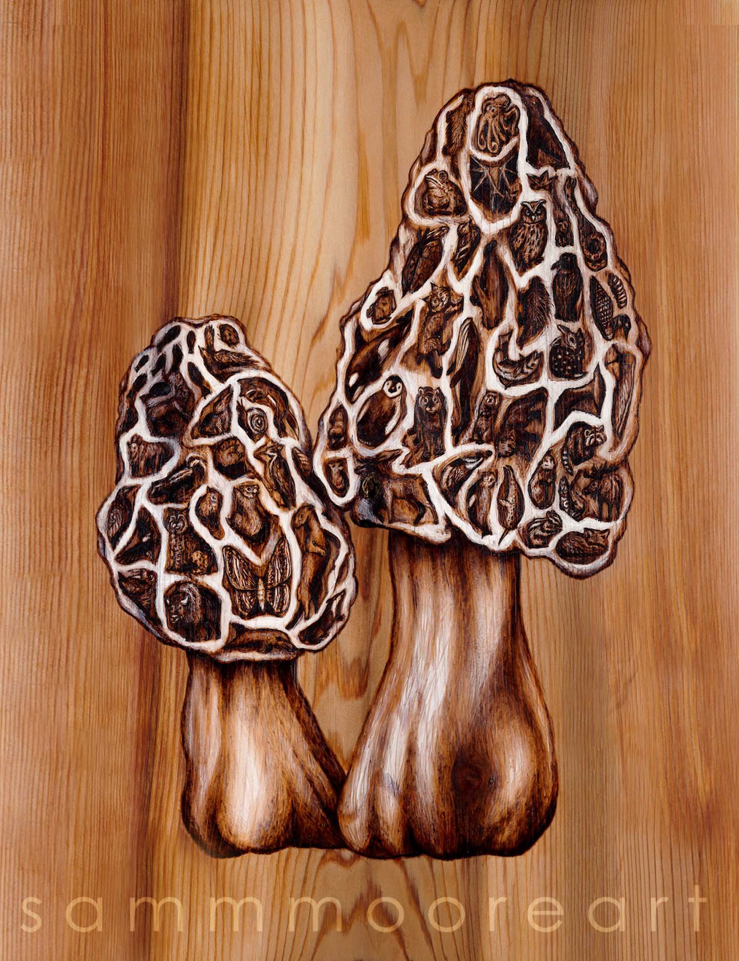 Morels Sticker.jpg