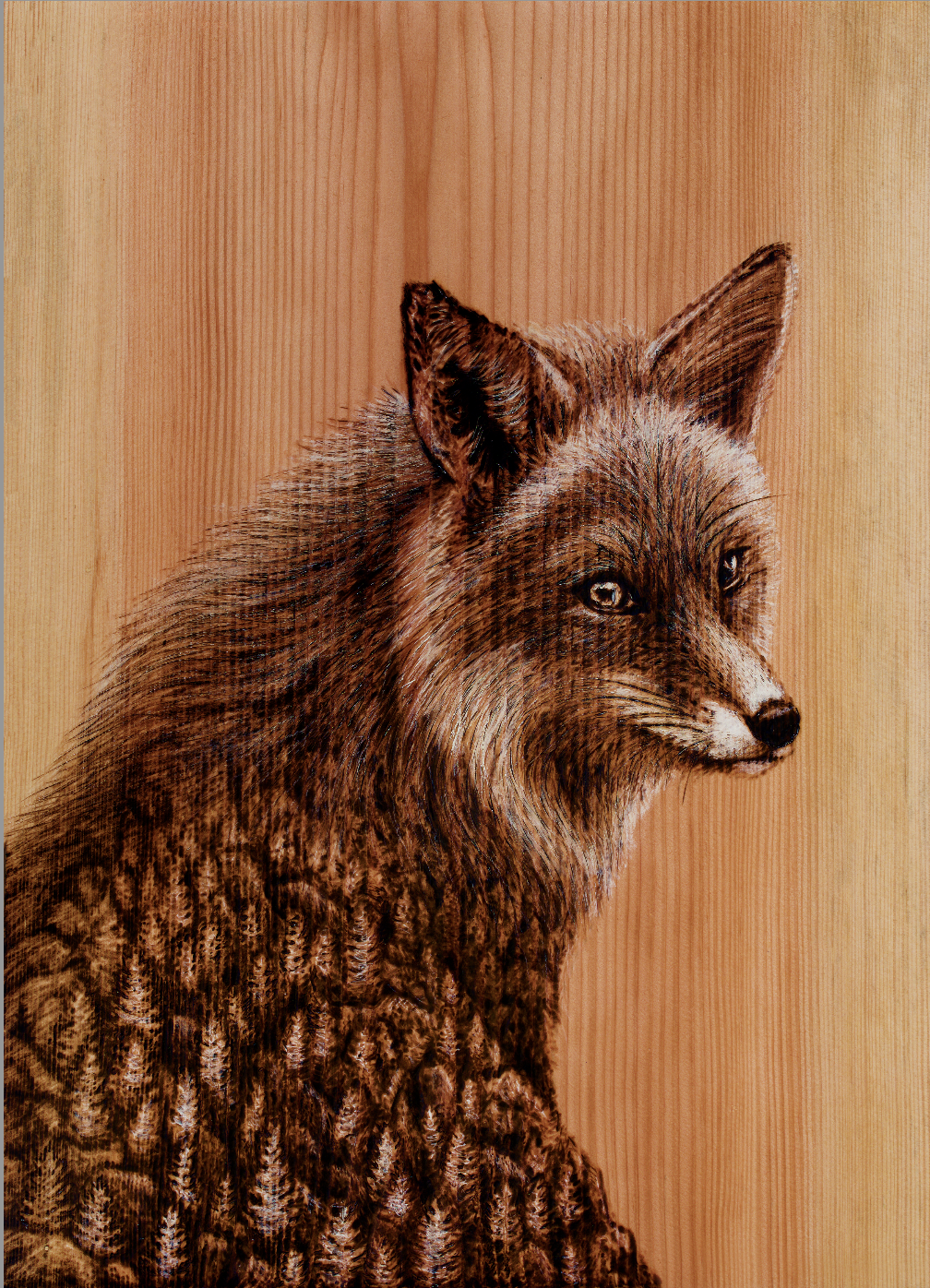 Fox Mountain (small).png