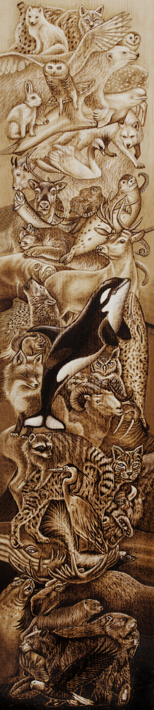 Dark to Light (small).png