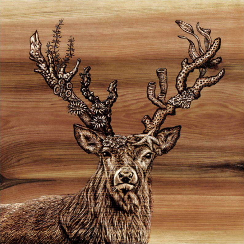 Coral Deer (small).png