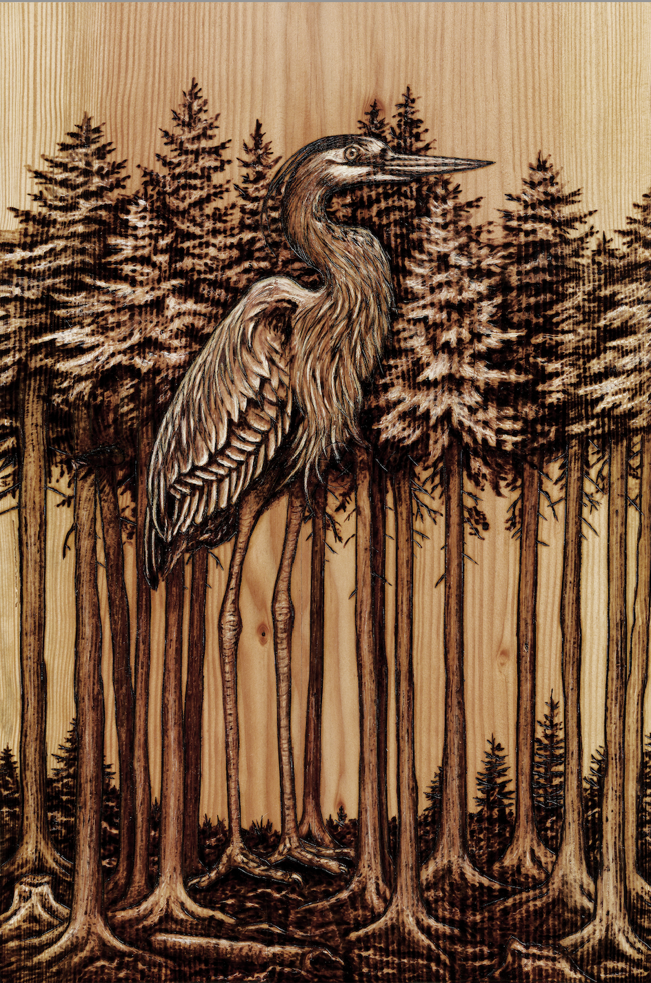 Heron Trees (small).png