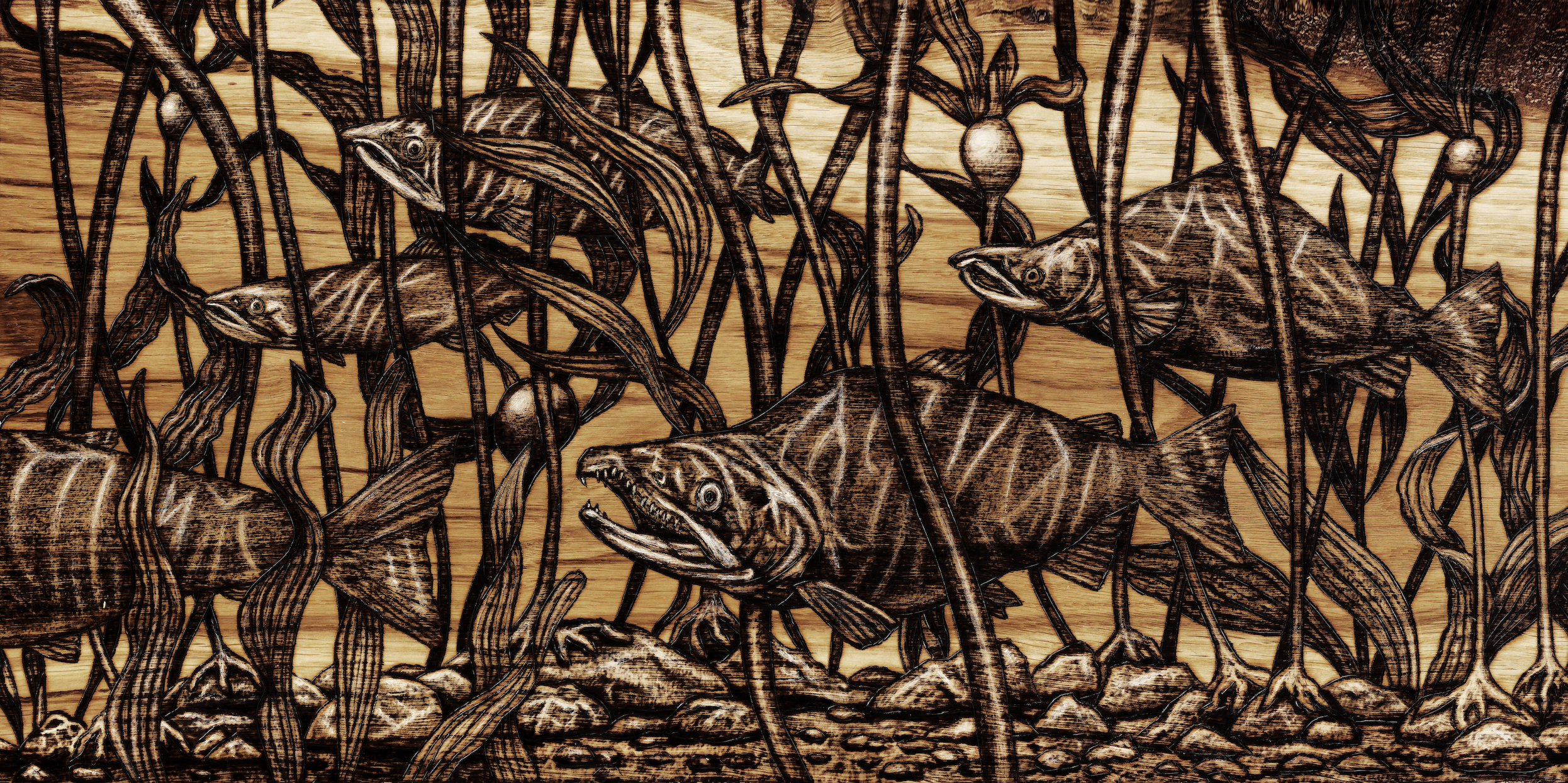 Sockeyes (small).png