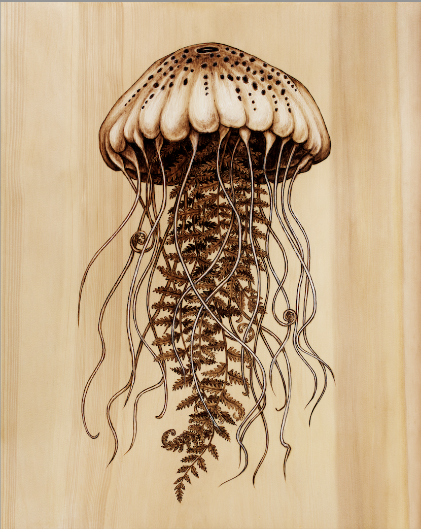 Jellyfern (small).png