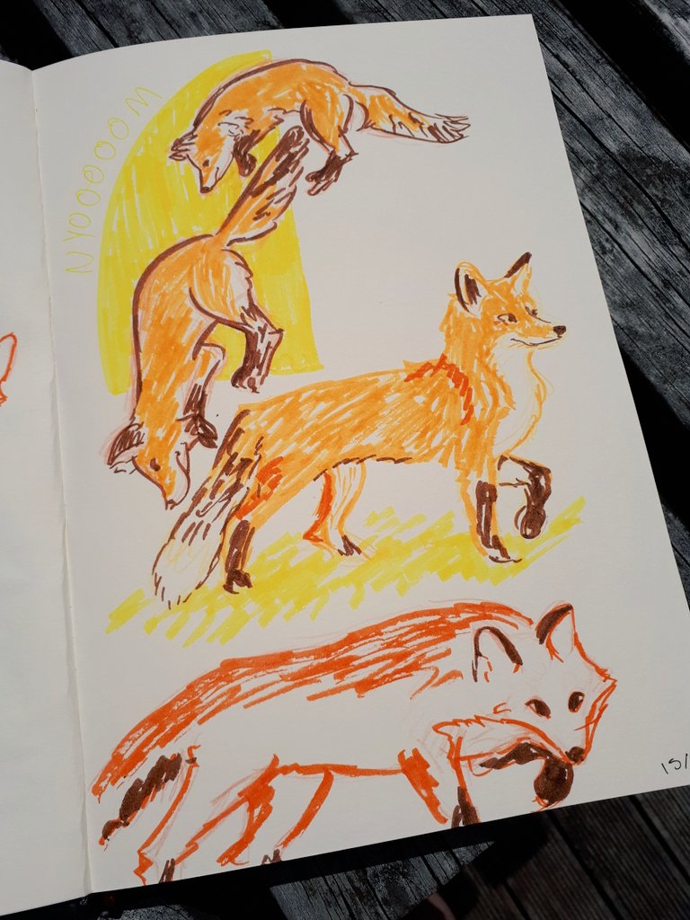 fox sketches2.jpg