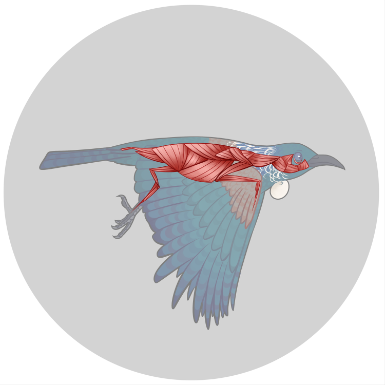 upload tui.png