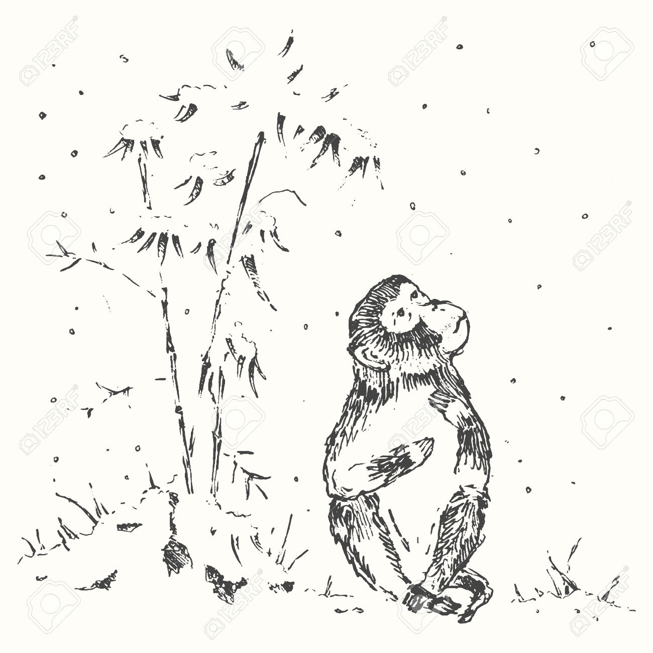 47840317-Traditional-Chinese-illustration-of-monkey-with-bamboo-and-snow-monkey-year-greeting-card-Chinese-zo-Stock-Vector.jpg