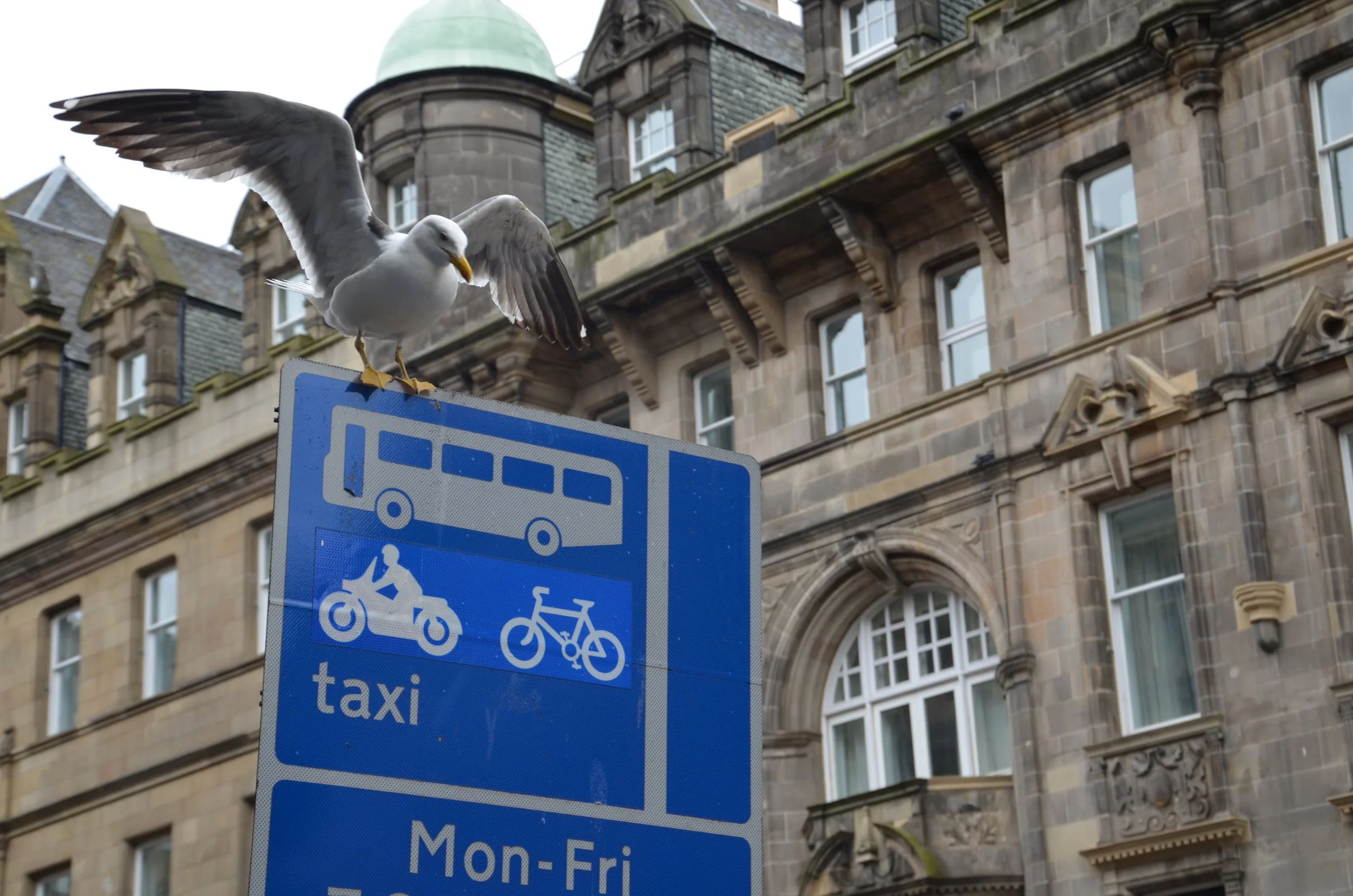 Edinburgh's 101 Objects