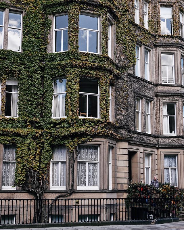 Currently the greenest corner of the West End 🏡 Do you prefer the Virginia Creeper in green 🍃 or red 🍂? Also if you look carefully, you can spot a certain someone on the photo - can you guess who he is? 🕵🏻&zwj;♂️