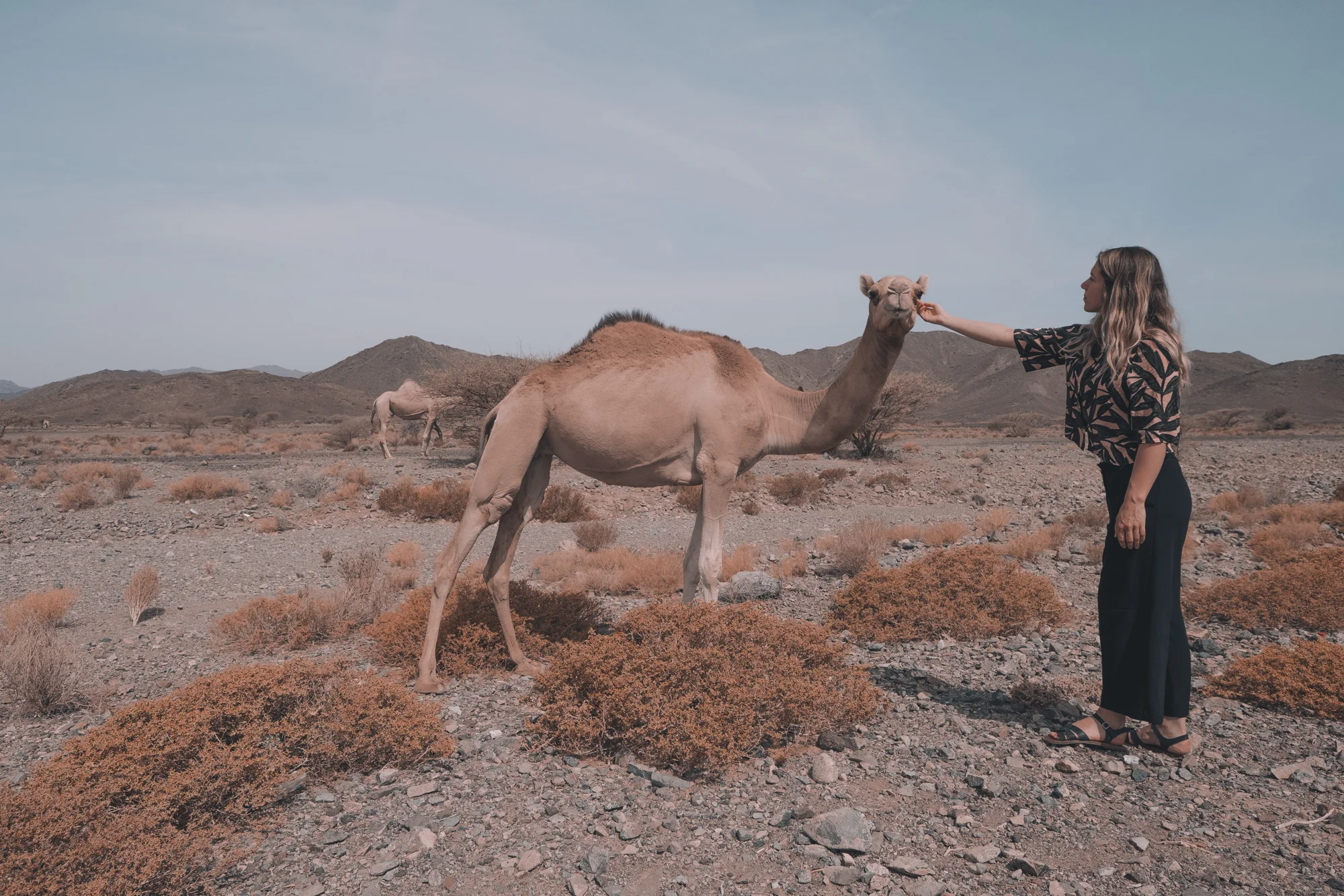 Oman - portfolio-13.jpg