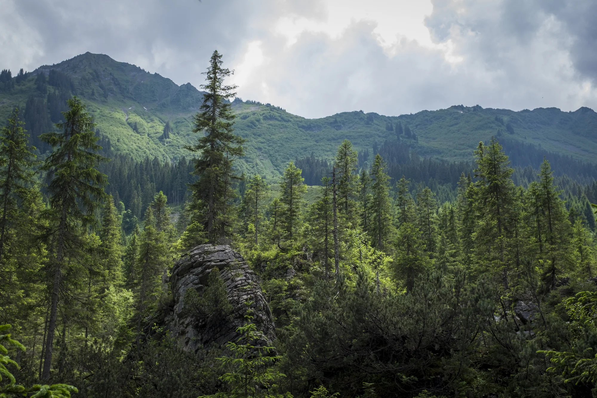 Oostenrijk - portfolio-12.jpg