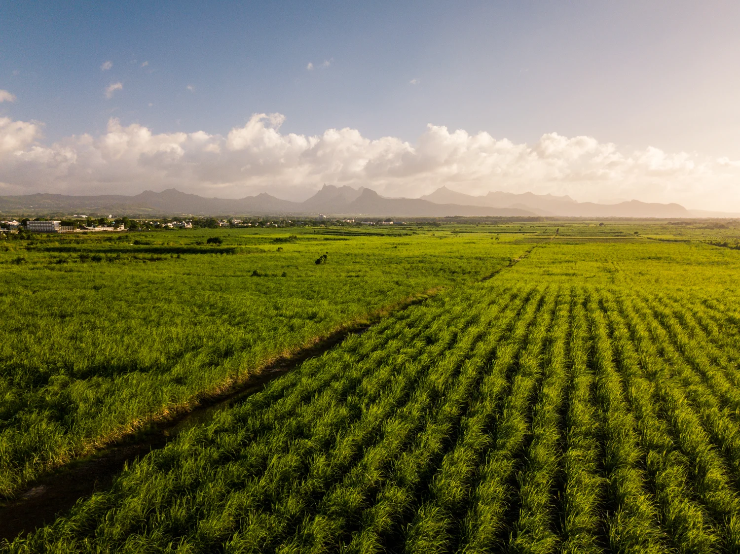 RVP-Mauritius-home-71.jpg