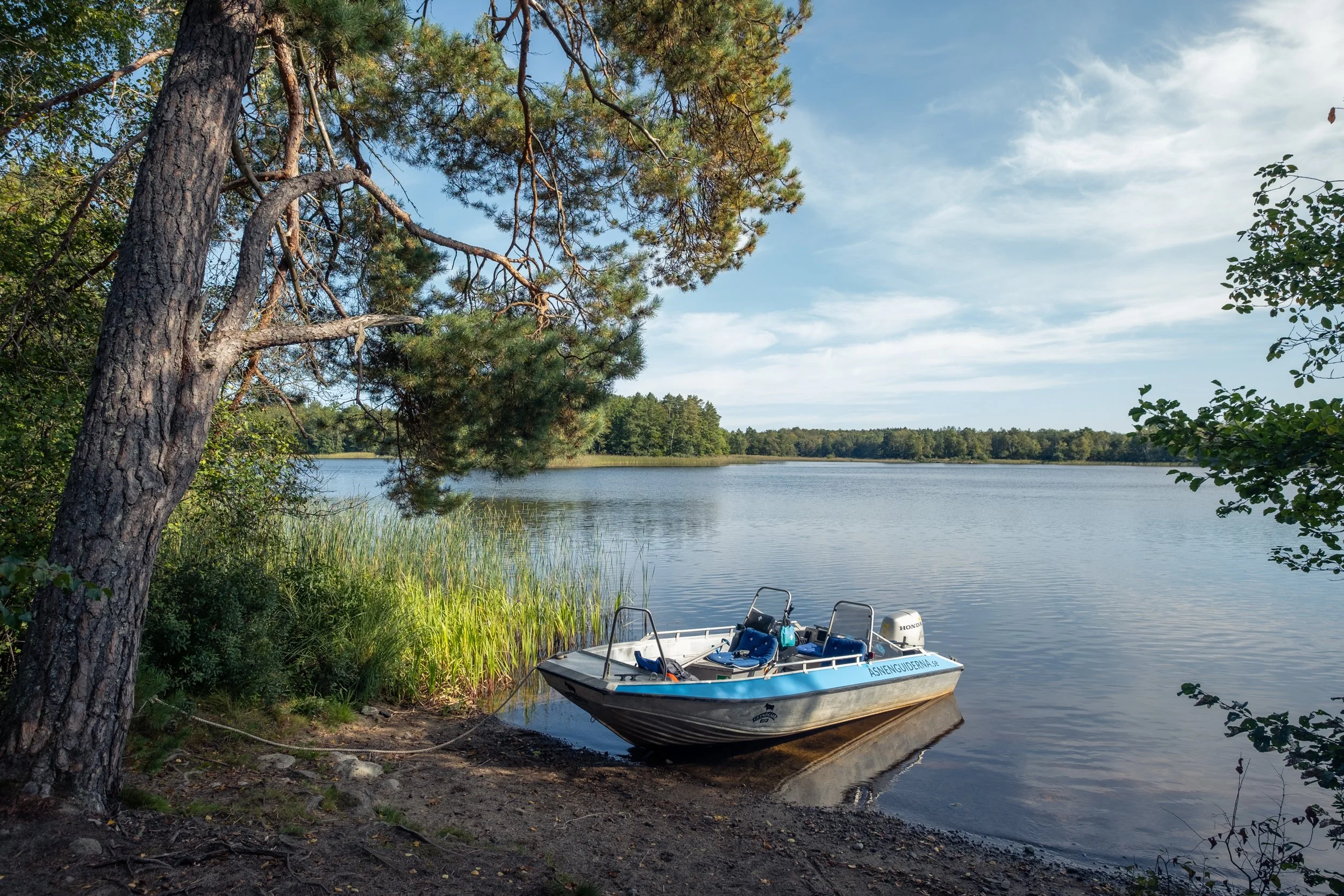 LP-Zweden-Selectie-24.jpg