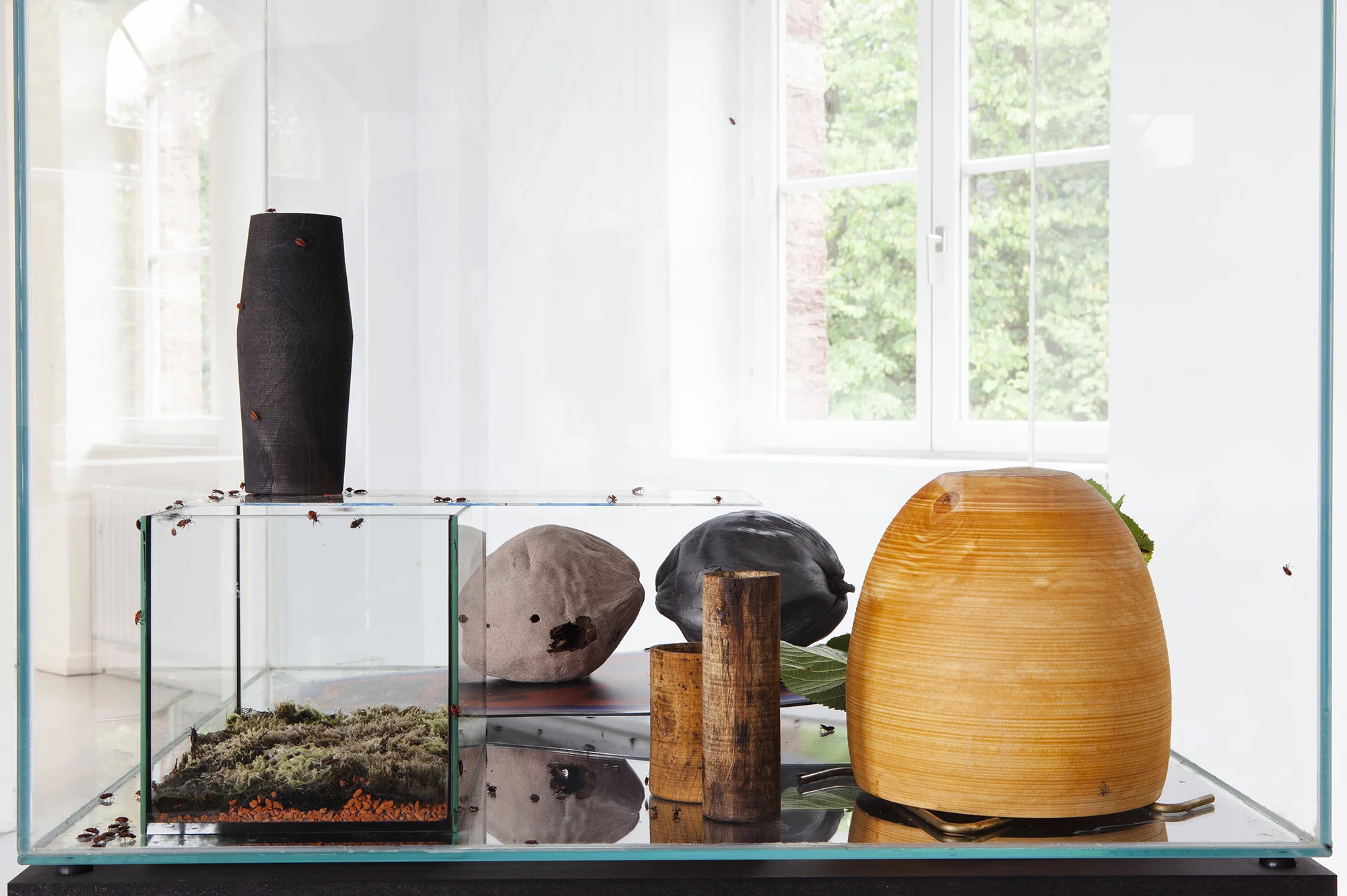Markus Hoffmann 'Nuclear Sanctuary’ at Kunstverein Wilhelmshöhe