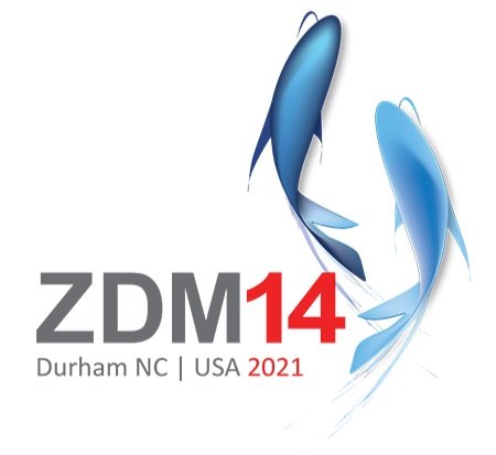 zdm14+logo+FINAL-01+-+synergy+size.jpg