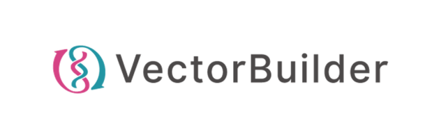 Vector Builder.png