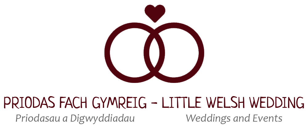 Interview: Priodas Fach Gymreig 